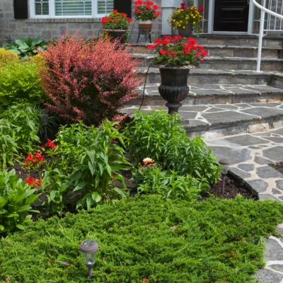 Landscaping